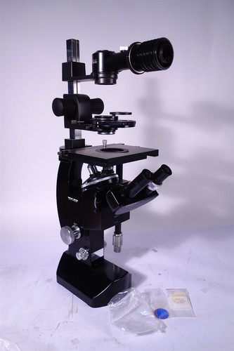 Wild m40 inverted phase - wild,
